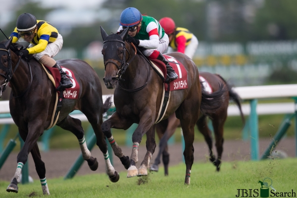 2018 シンハ ライト の シンハライトが丸わかり！競走馬データベース